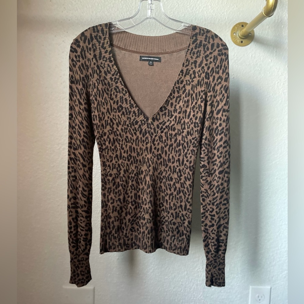 Express Leopard Animal Print V Neck Sweater